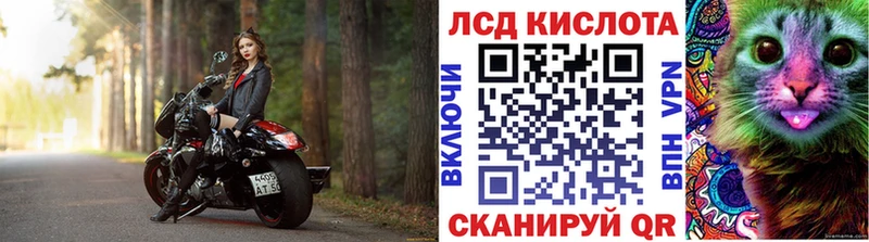 Марки N-bome 1500мкг  Купить где  Магадан 