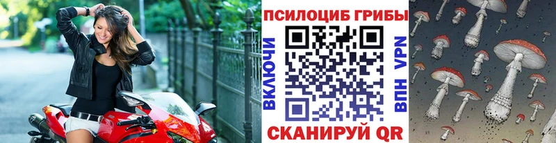 Галлюциногенные грибы Psilocybine cubensis  Купить  Магадан 